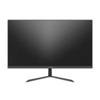 RAYDIN ALISA, 24", 2ms, 75Hz, Full HD, D-Sub, HDMI, Frameless, VA LED Monit�r (Siyah)