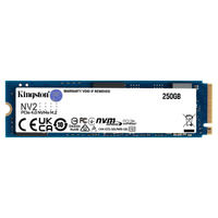 KINGSTON SNV2S/250G, NV2, 250Gb, 3000/1300, NVME PCIe M.2, SSD