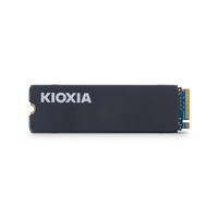 KIOXIA EXCERIA HEATSINK G4, LSC11K4T09G8, 4TB, 6200/4900, Gen4, NVME PCIe M.2 2280, SSD,(Soutuculu)