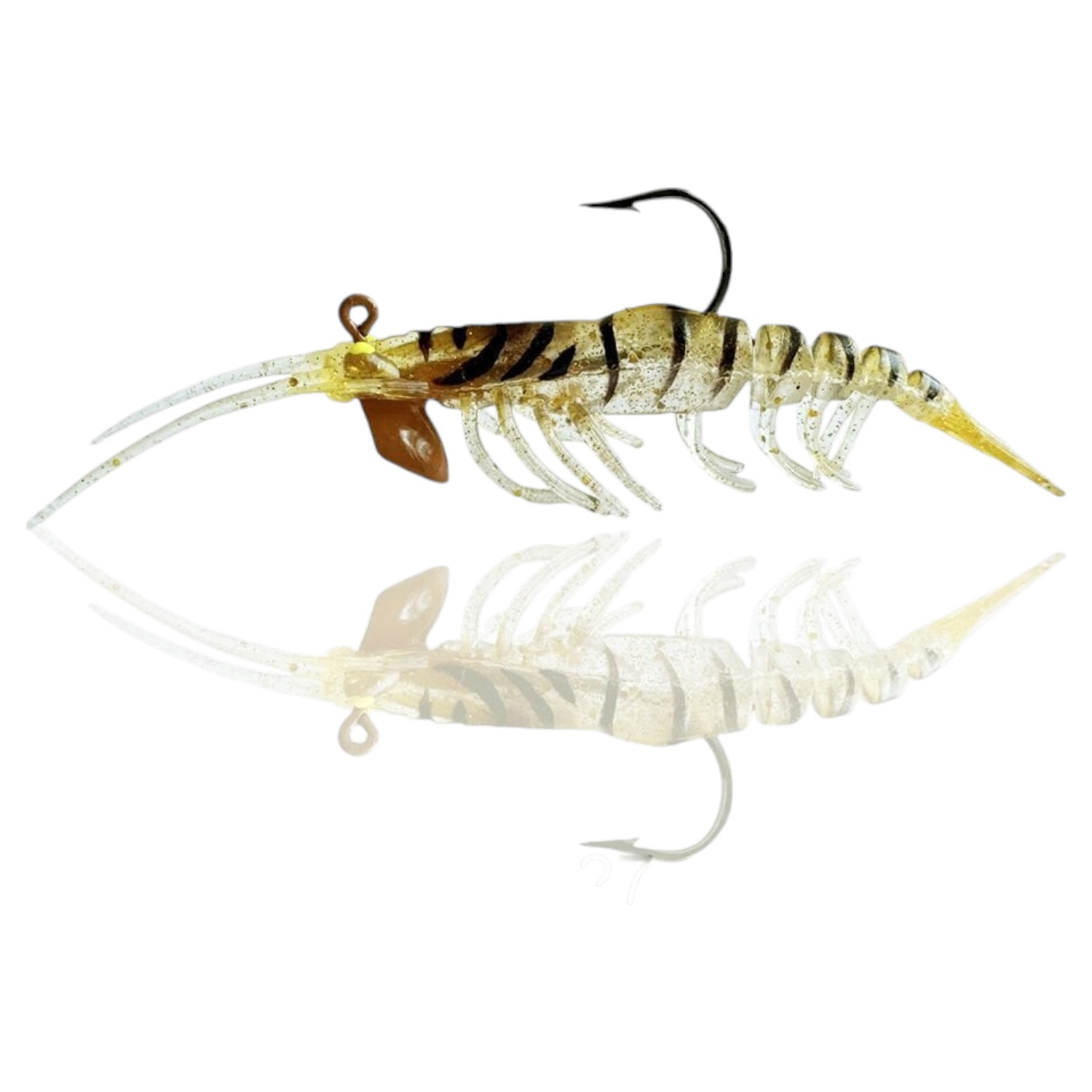 Naniwa Osaka Shi Caridina Shrimp 10 Cm 14 Gr C027