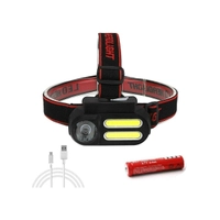 Gold Orion OR-611 USB arjl Kafa Lambas