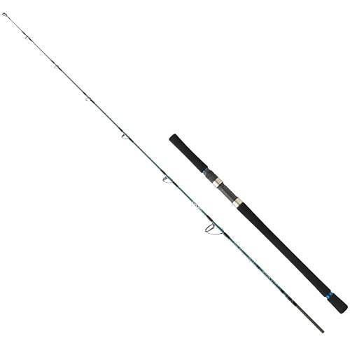 Daiwa Grandwave 1.68M 90-210 gr 2P Jig Olta Kam���