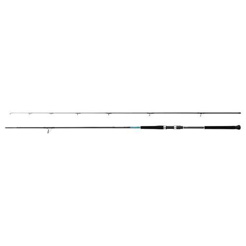 Shimano Bassterra XT 2,89m 20-80g Shore Jigging olta Kam���