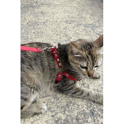 Deri Kedi Harness , Kedi Gezdirme Tasması - NPC005
