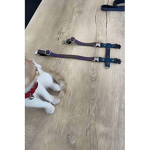 Kedi Reflektrl Harness Gs Ve Gezdirme Seti