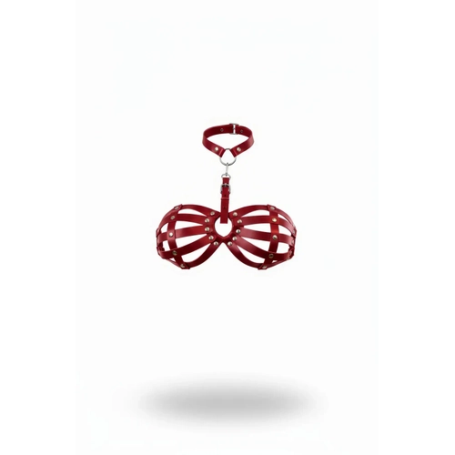 K�rm�z� G���s Harness Deri Kafesli Z�mba Detayl� Boyunluk - APFT224