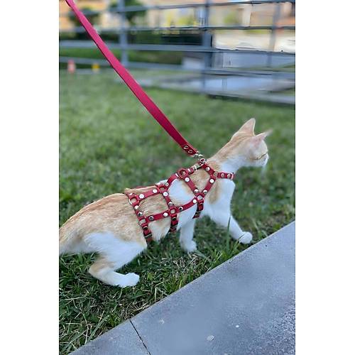 Full Body Kedi Harness, Kedi Gezdirme Tasmas, Kedi Sokak Tasmas - NPC011