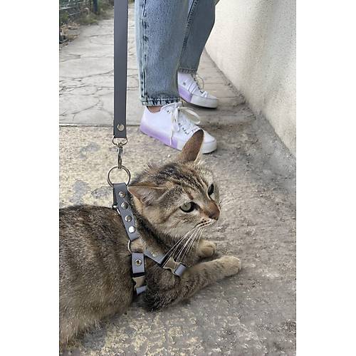 Karanlkta Yansyan Reflektrl Kedi Harness , zel Tasmal Kedi Harness