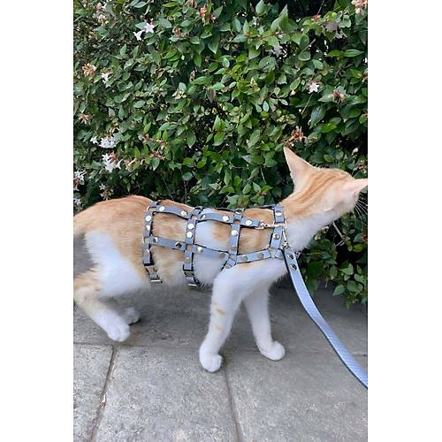 Karanlkta Parlayan Reflektrl k Kedi Harness, Kedi Yrme Tasmas, Kedi Gvenlik Tasmas - NPC011