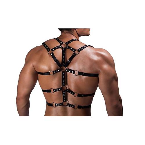 Erkek Lastik G���s Harness - APFTM191