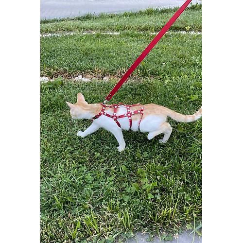 Full Body Kedi Harness, Kedi Gezdirme Tasmas, Kedi Sokak Tasmas - NPC011