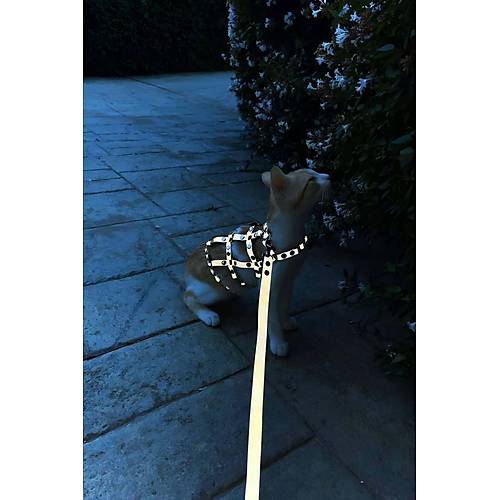 Karanlkta Parlayan Reflektrl k Kedi Harness, Kedi Yrme Tasmas, Kedi Gvenlik Tasmas - NPC011