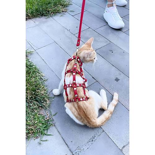 Full Body Kedi Harness, Kedi Gezdirme Tasmas, Kedi Sokak Tasmas - NPC011