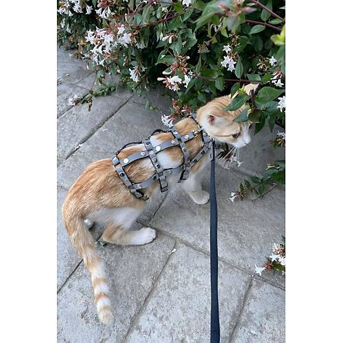 Karanlkta Parlayan Reflektrl k Kedi Harness, Kedi Yrme Tasmas, Kedi Gvenlik Tasmas - NPC011