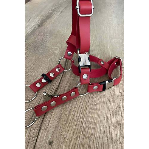 Deri Kedi Harness , Kedi Gezdirme Tasmas