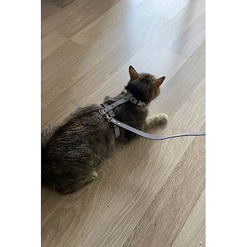 Karanlkta Yansyan Reflektrl Kedi Harness, zel Tasarm Kedi Harness - NPC007