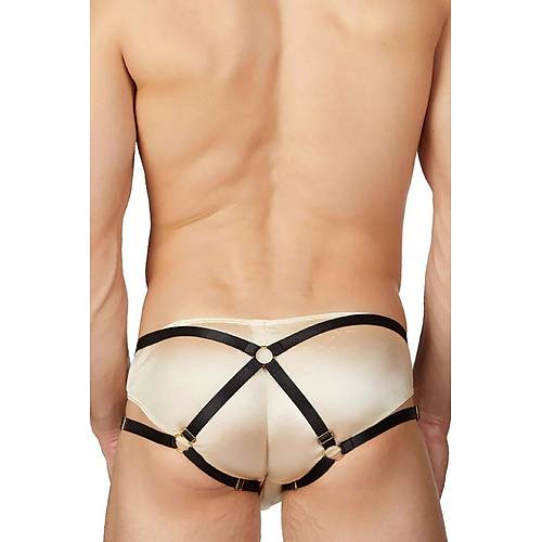 Fantazi Erkek Lastik Harness - APFTM217