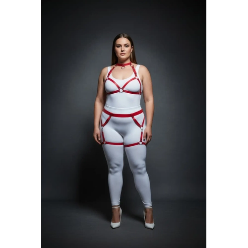 B�y�k Beden K�rm�z� Kad�n Deri Harness Tak�m Jartiyerli Halka Detayl� - APFT478