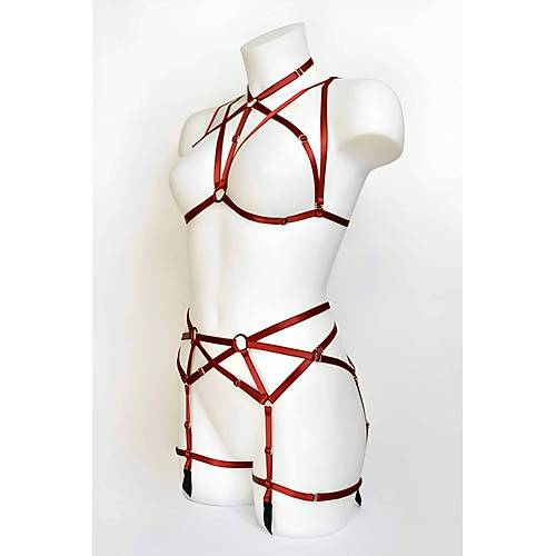 Seksi  amar Harness Takm - APFT161