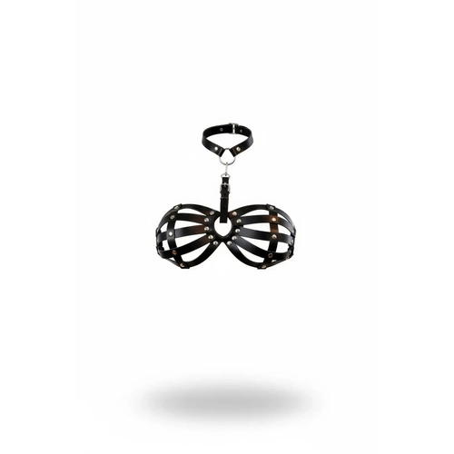 Siyah G���s Harness Kafes Detayl� Z�mbal� Boyunluk - APFT224