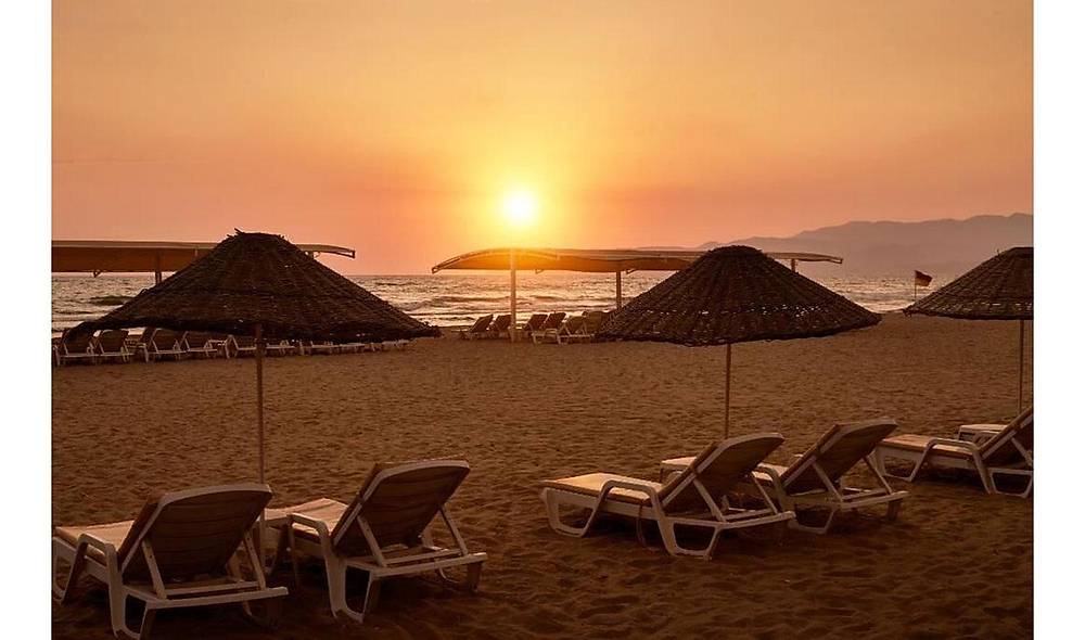 Avangarde Sunbed 1 Piece