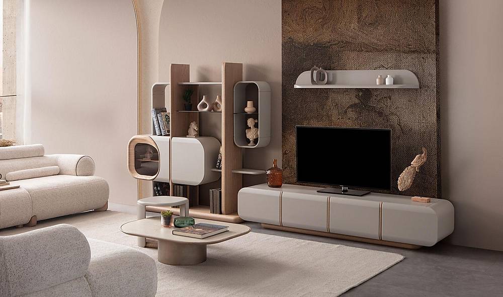 Asel Tv Unit