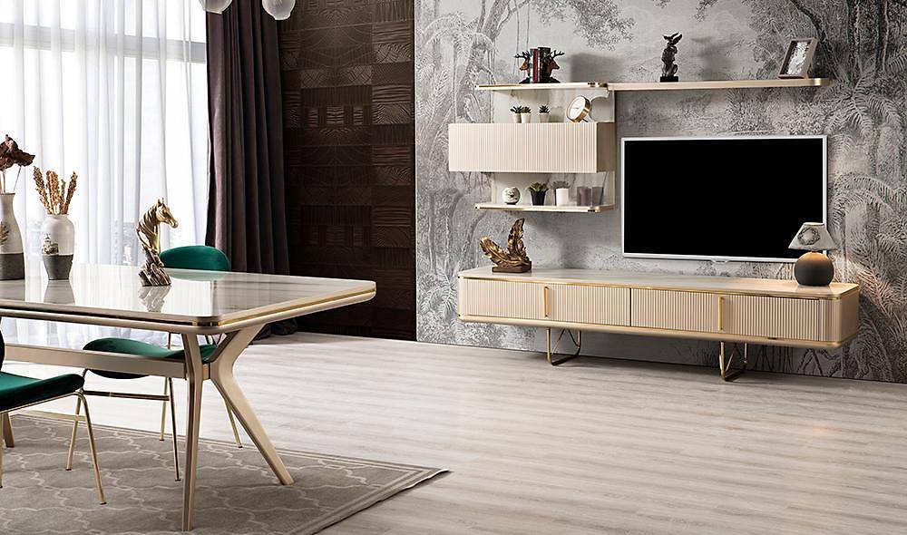 Vizyon Tv Unit