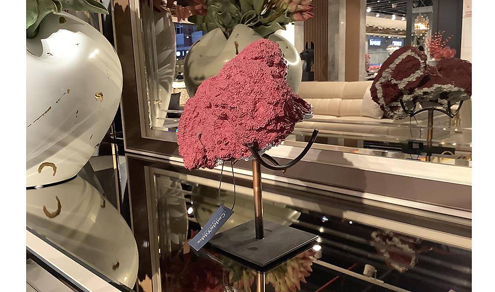 Decorative Leg Coral Object