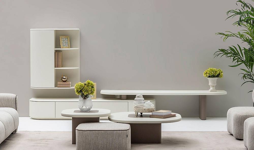 Reform Tv Unit