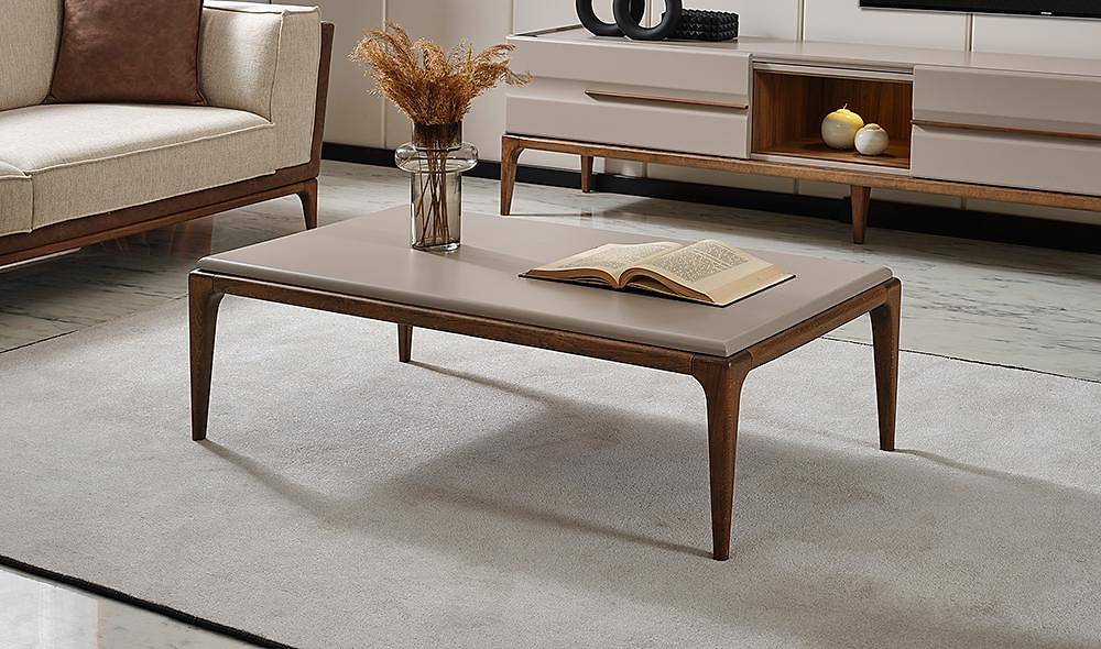 Seatle Tv Unit