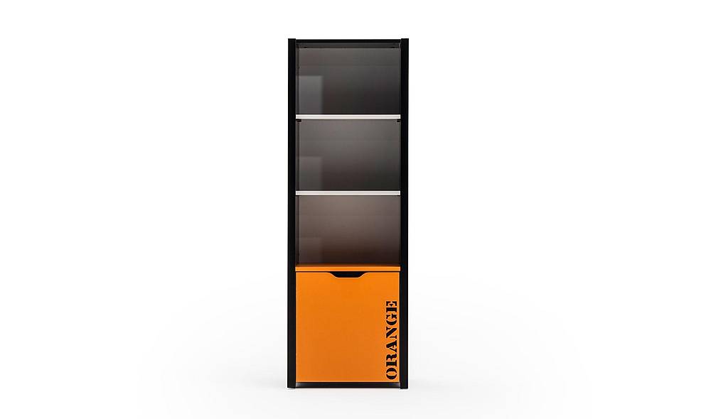 Zelis Bookcase
