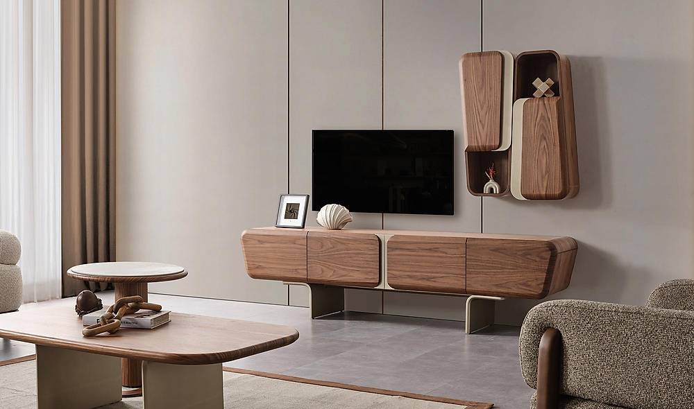 Bien Tv Unit