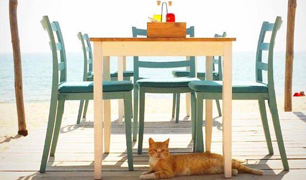 Nosta-S Chair 2 Piece