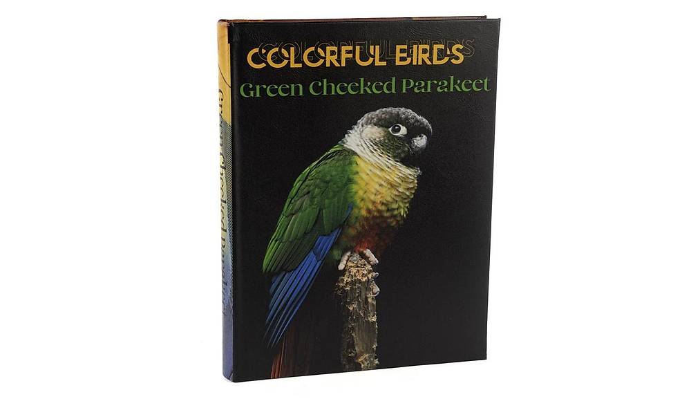 Colorful Birds Book Box 35x24 cm