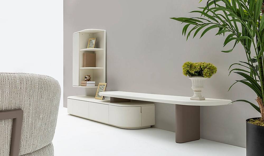 Reform Tv Unit