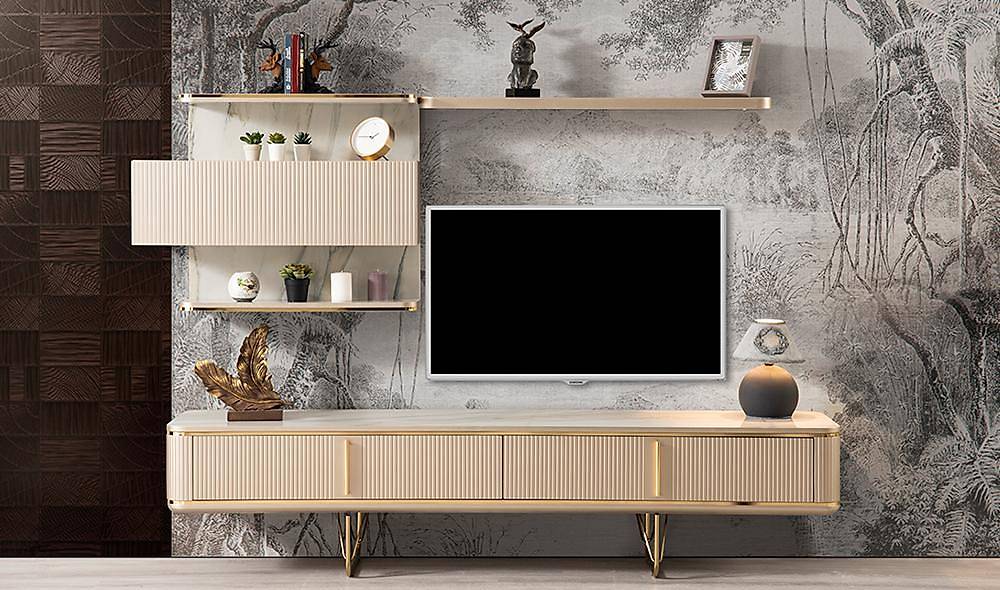 Vizyon Tv Unit