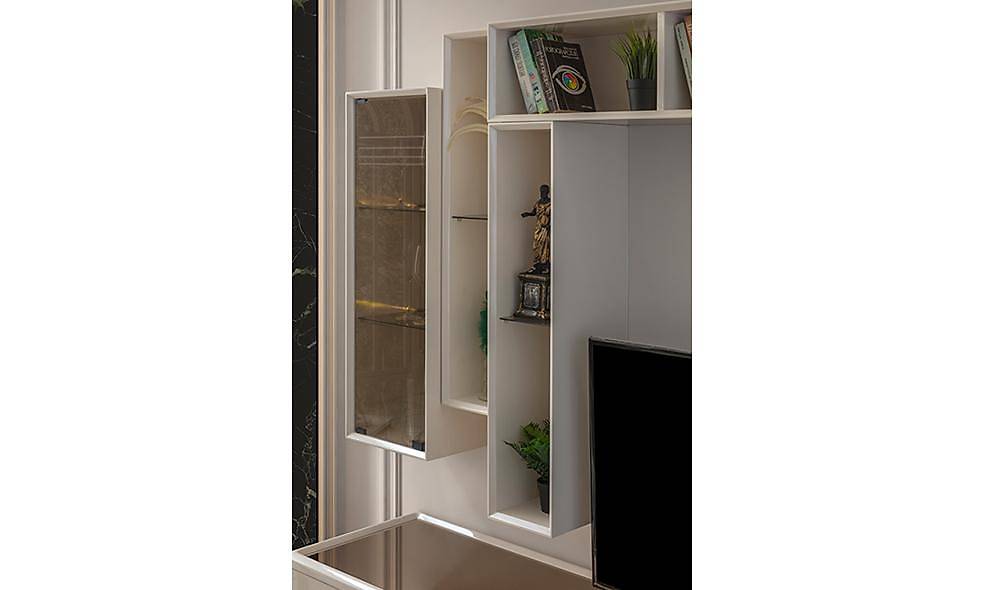 Reform Tv Unit