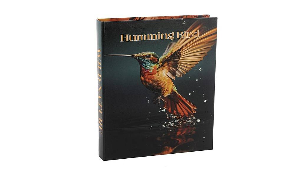 Humming Bird Book Box 28x22 cm