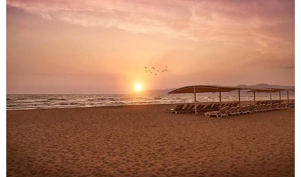 Avangarde Sunbed 1 Piece