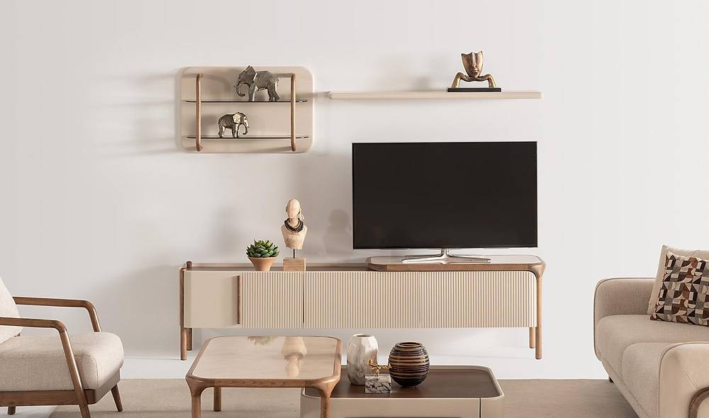 Laila Tv Unit