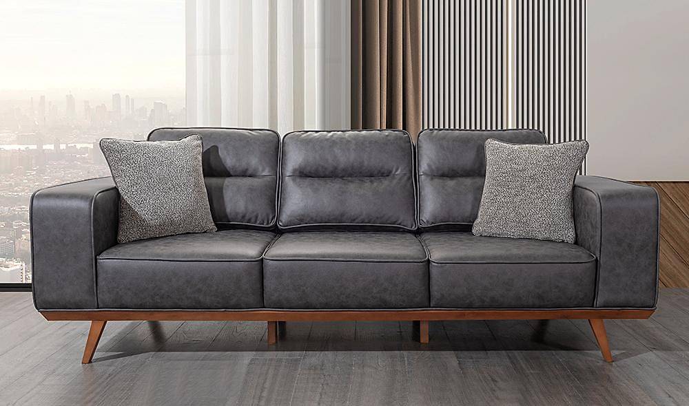Modernity Sofa Set