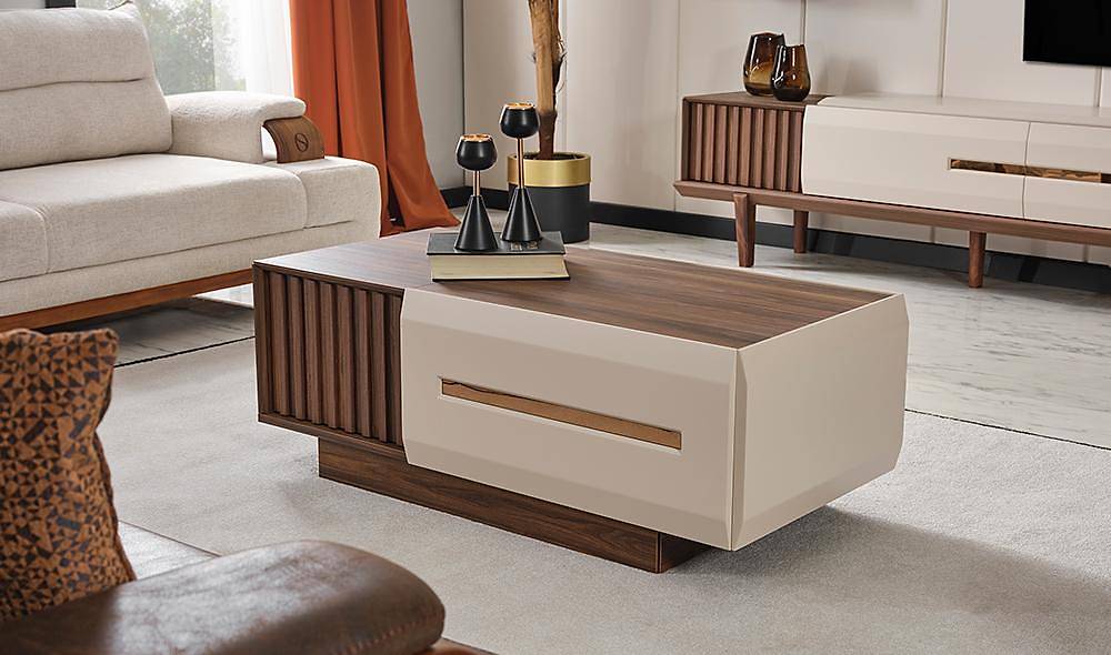 Mission Tv Unit
