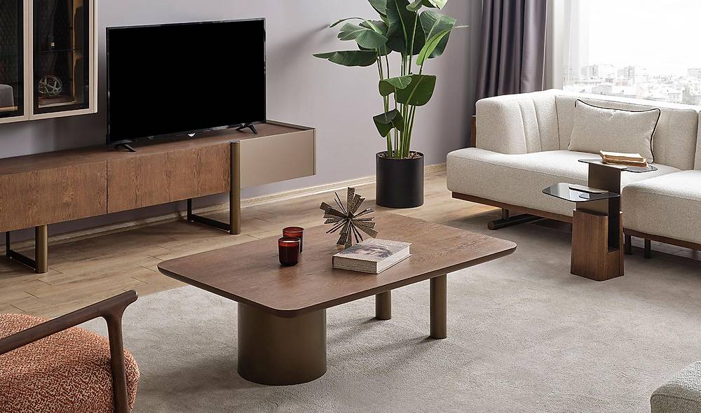 Society Sofa Set