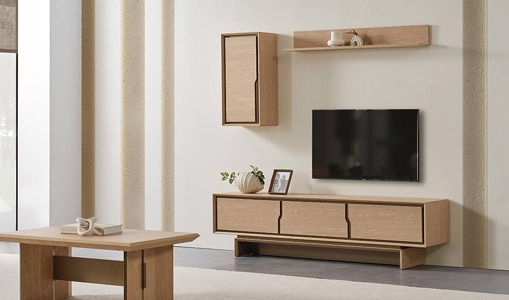 Elbi Tv Unit
