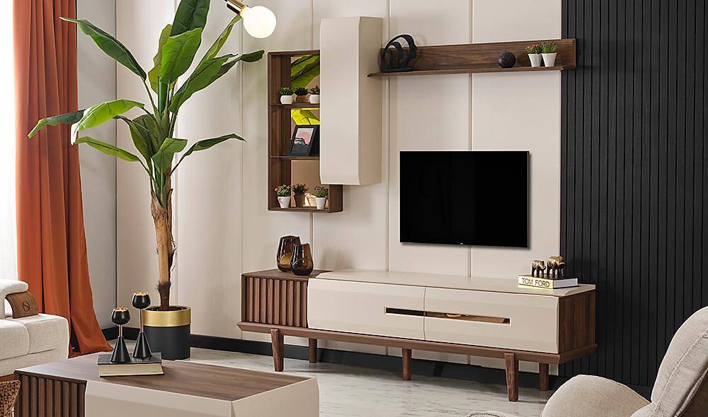 Mission Tv Unit