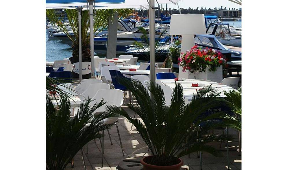 Opal-ML Pro Chair 2 Piece