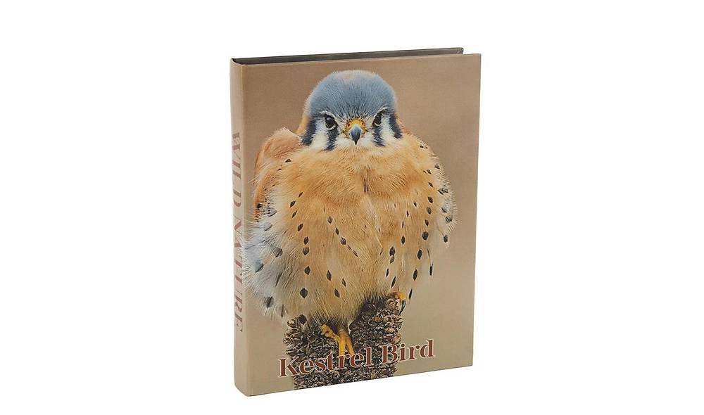 Kestrel Bird Book Box 28x22 cm