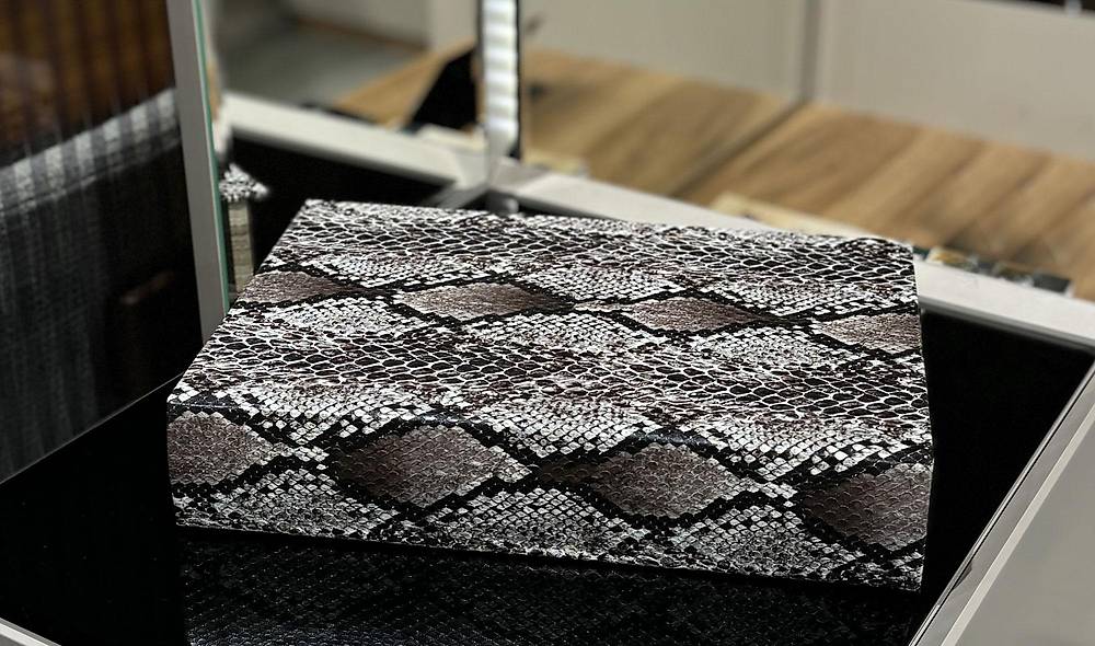 Snake Book Box - 1 Piece