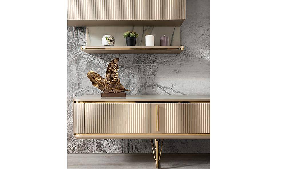 Vizyon Tv Unit