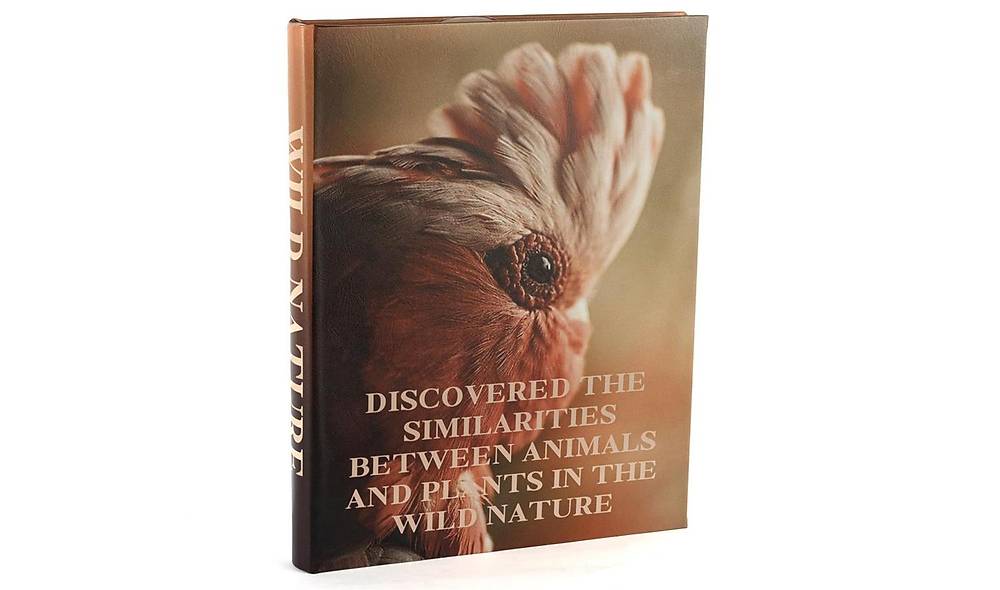 Wild Nature Book Box 35x24 cm